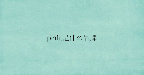 pinfit是什么品牌