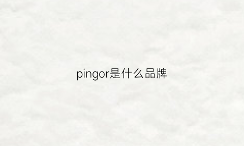 pingor是什么品牌