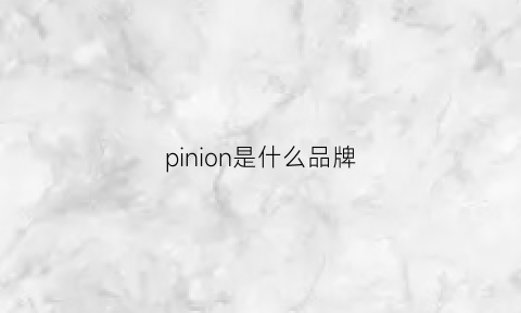 pinion是什么品牌(pliniovisona是什么牌)