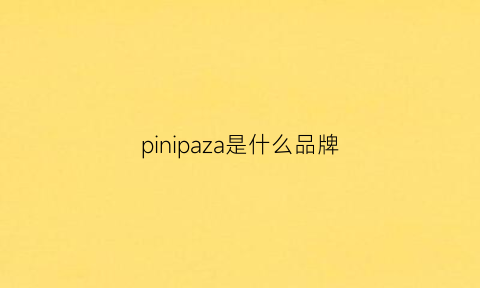 pinipaza是什么品牌(pin是什么牌子)