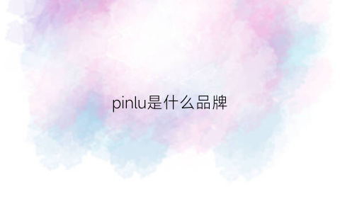 pinlu是什么品牌(pin是什么牌子)