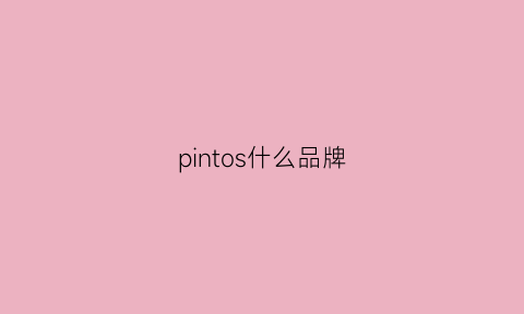 pintos什么品牌