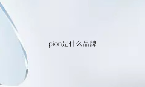 pion是什么品牌(champion是什么品牌)