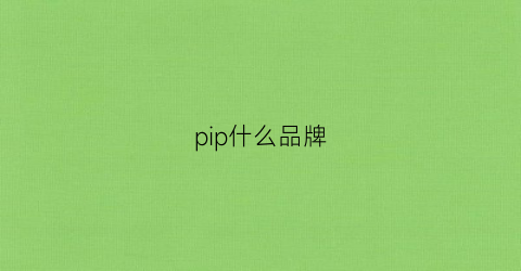 pip什么品牌(pipo是什么牌子)