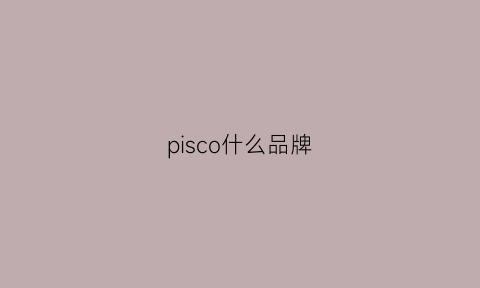 pisco什么品牌(pisco什么意思)