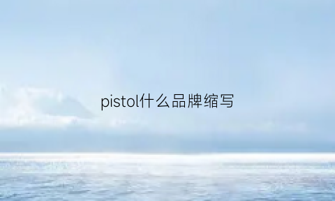 pistol什么品牌缩写(pisco是什么品牌)