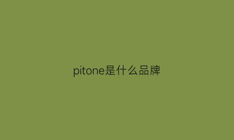 pitone是什么品牌