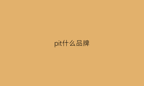 pit什么品牌