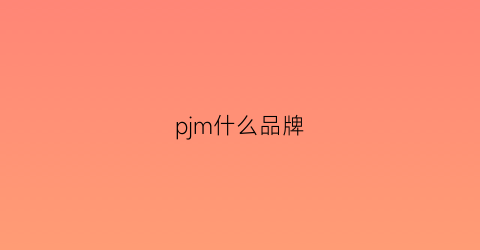 pjm什么品牌(pjm是什么品牌)