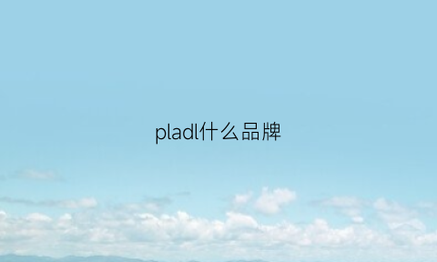 pladl什么品牌(pladi是什么牌子)