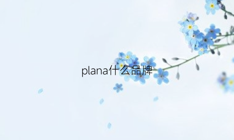 plana什么品牌