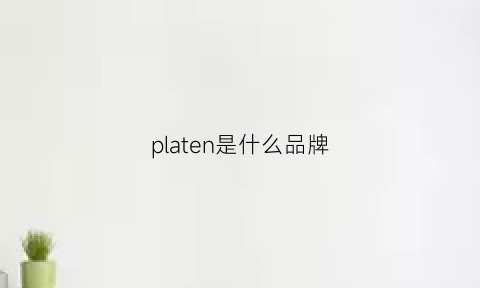 platen是什么品牌