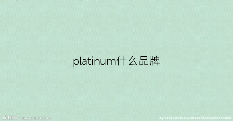 platinum什么品牌(plum是什么牌子)