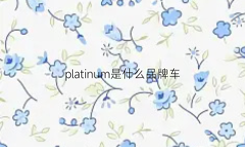 platinum是什么品牌车