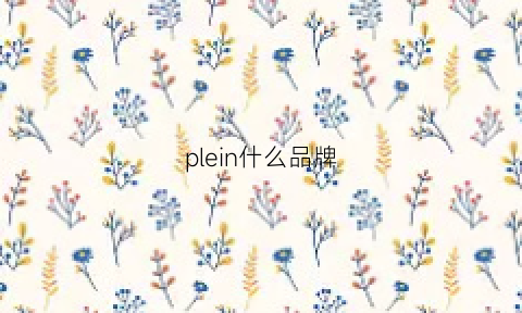 plein什么品牌(plein是什么牌子的鞋)