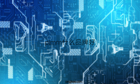 plmm什么品牌好