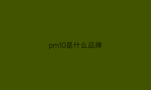 pm10是什么品牌