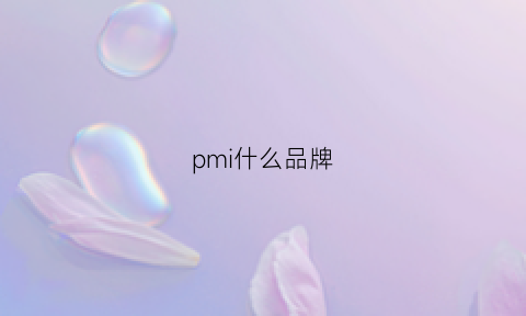 pmi什么品牌