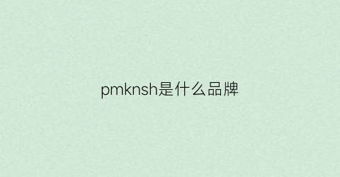 pmknsh是什么品牌(pmpm是那个国家的品牌)