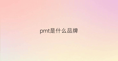 pmt是什么品牌