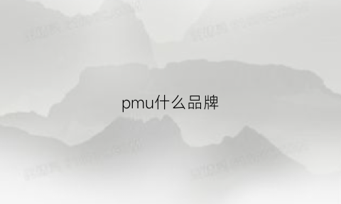 pmu什么品牌(plum什么品牌)