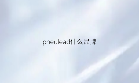 pneulead什么品牌