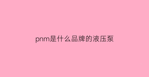 pnm是什么品牌的液压泵(液压pn是什么意思啊)