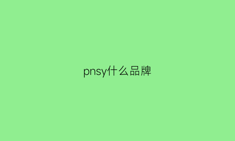 pnsy什么品牌