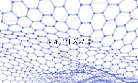 poal是什么品牌(polo是什么牌子)