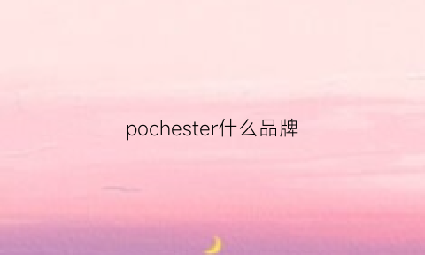 pochester什么品牌(poescher是什么车)