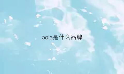 pola是什么品牌(polaapparel什么牌子)