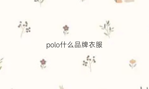 polo什么品牌衣服(polo衣服是什么牌子价位)