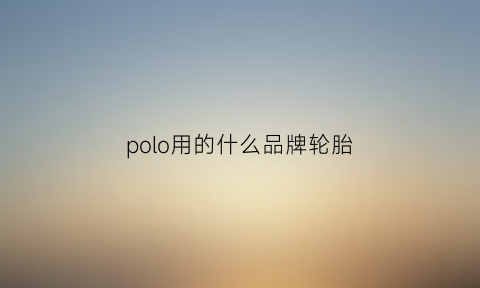 polo用的什么品牌轮胎