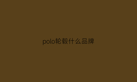 polo轮毂什么品牌