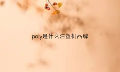 poly是什么注塑机品牌(polypax注塑机)