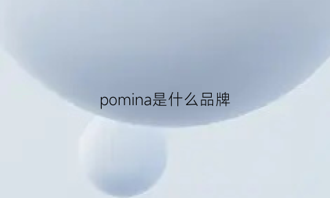 pomina是什么品牌(poninpon是什么牌子)