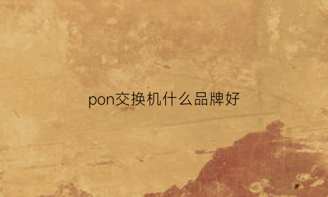 pon交换机什么品牌好