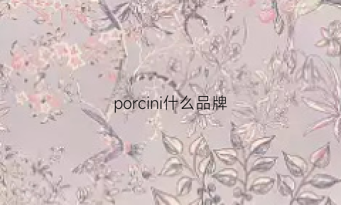 porcini什么品牌