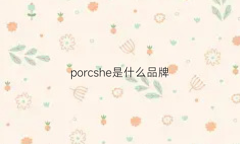 porcshe是什么品牌(porcheson是什么品牌)