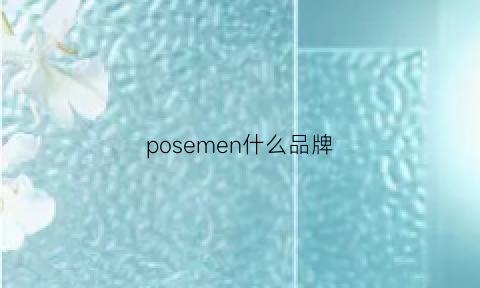 posemen什么品牌(posegym品牌)