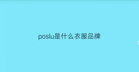poslu是什么衣服品牌(posbrand是什么品牌)