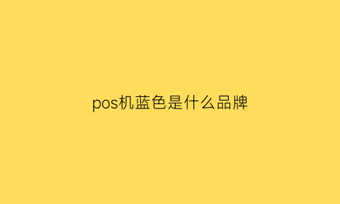 pos机蓝色是什么品牌