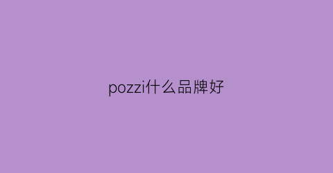 pozzi什么品牌好(poizon品牌)