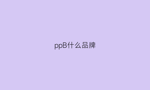 ppB什么品牌(pp+什么牌子)