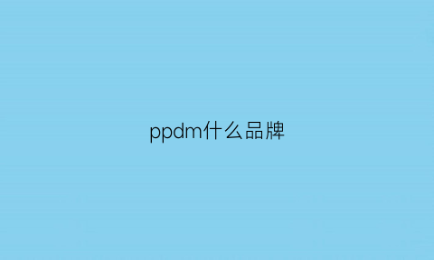 ppdm什么品牌(ppe品牌)