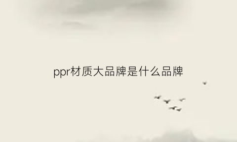 ppr材质大品牌是什么品牌