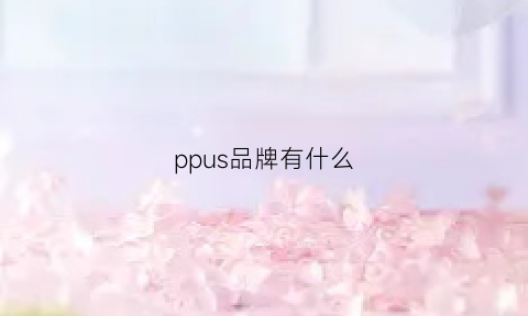 ppus品牌有什么(pp什么牌子服装品牌)