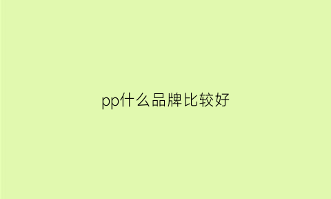 pp什么品牌比较好