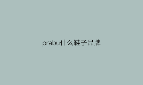 prabu什么鞋子品牌(rpap鞋是什么品牌)