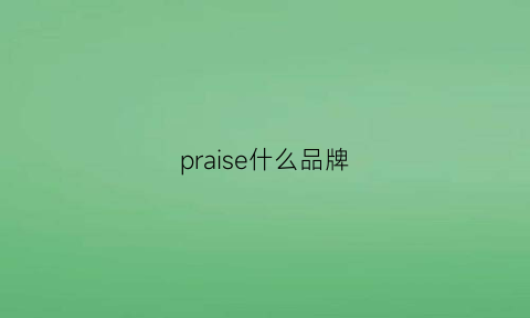 praise什么品牌(prseela是什么牌子)